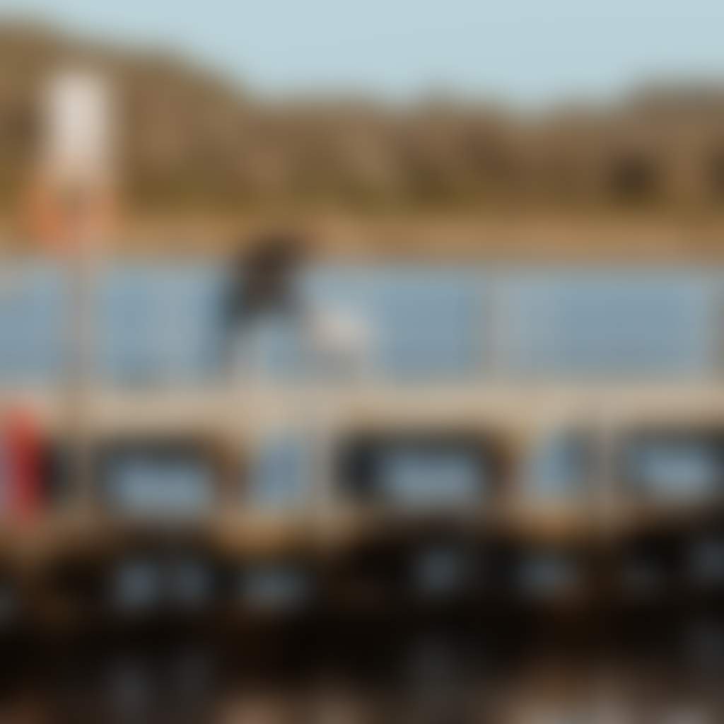 Marlo Jetty Marlo person and dog on jetty