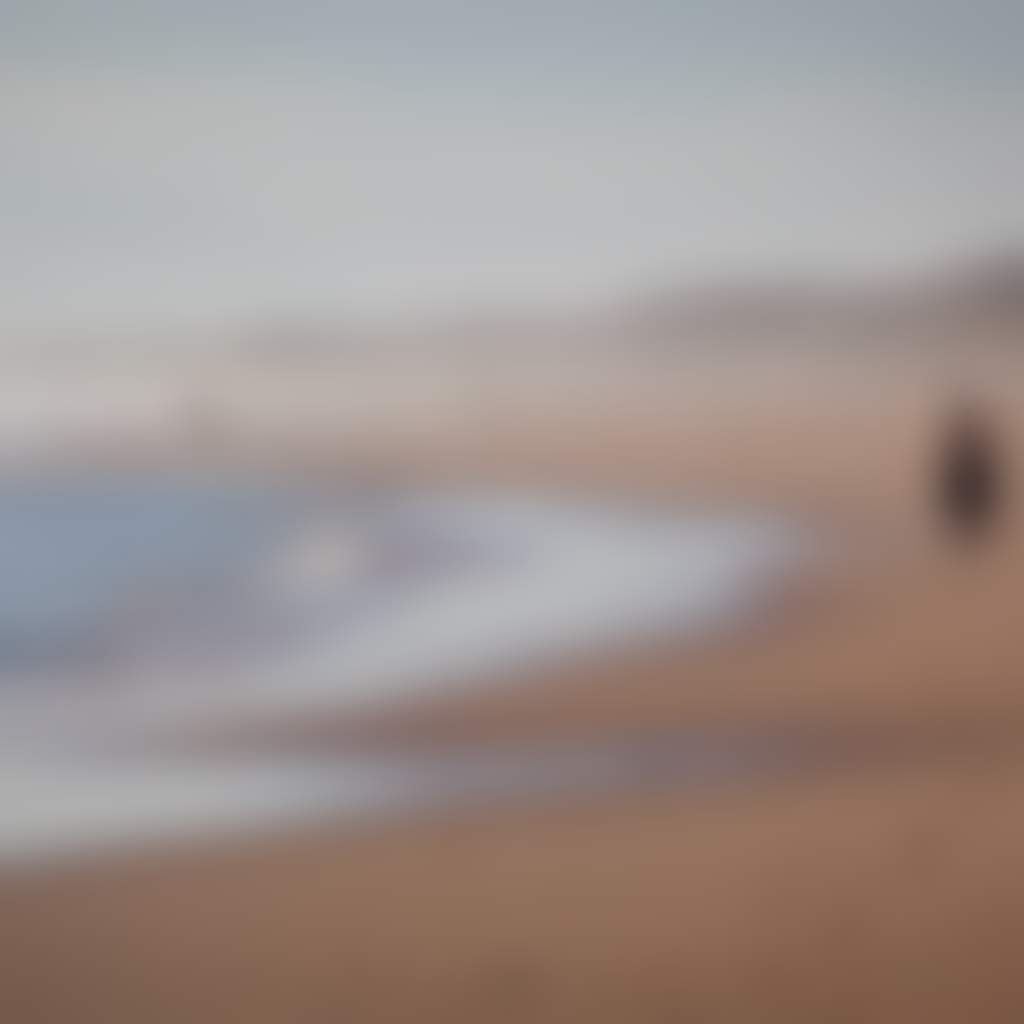 Three surfers walk along the beach at Cape Woolamai Phillip Island