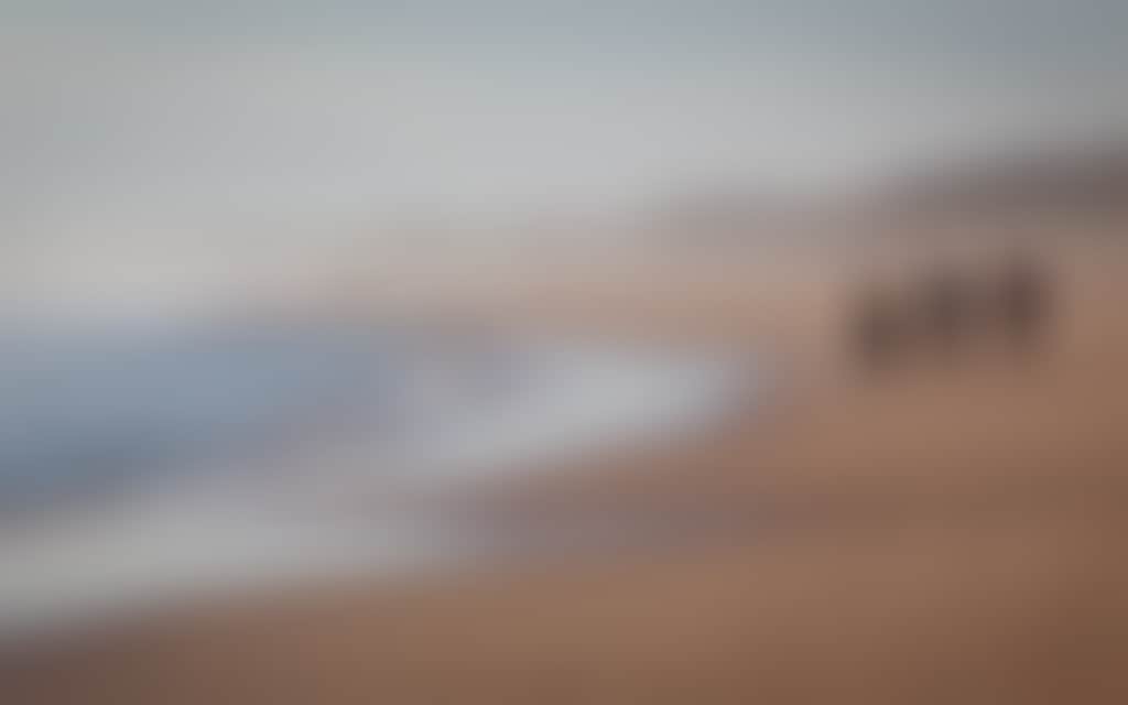 Three surfers walk along the beach at Cape Woolamai Phillip Island