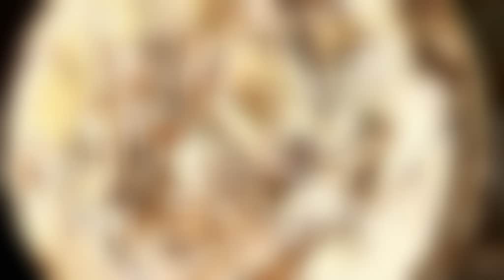Ec2Ca1A2Cf382Eb990E665D9C0F2A727