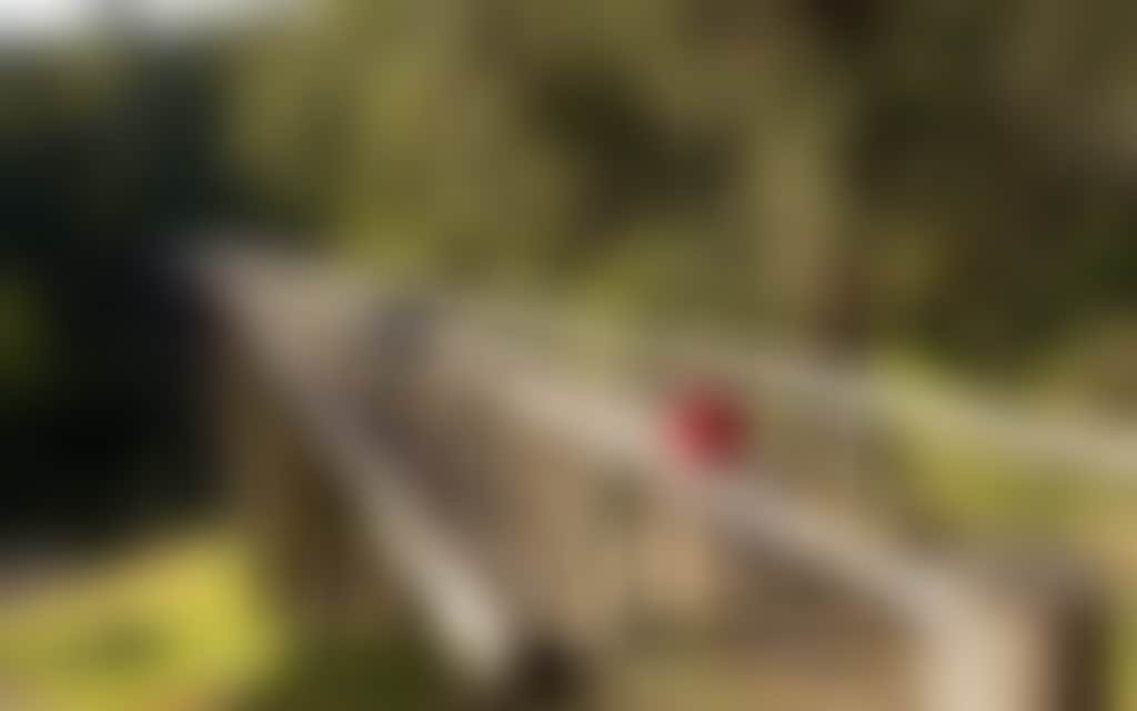 Children with bikes crossing the Noojee Trestle Bridge Noojee