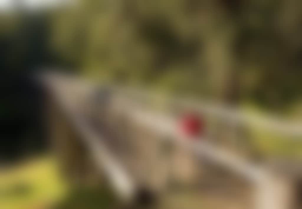 Children with bikes crossing the Noojee Trestle Bridge Noojee
