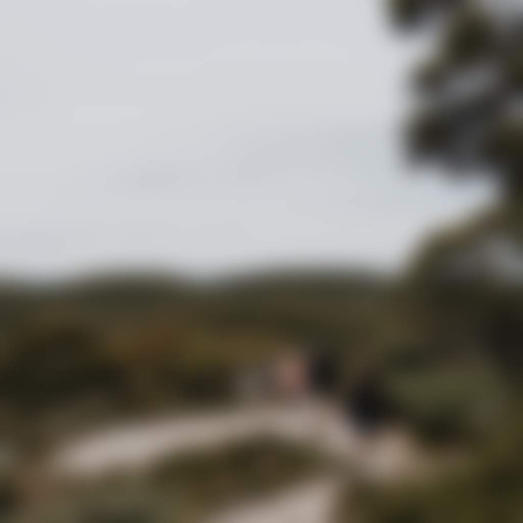 Family walking to lookout at Mt Baw Baw in summer