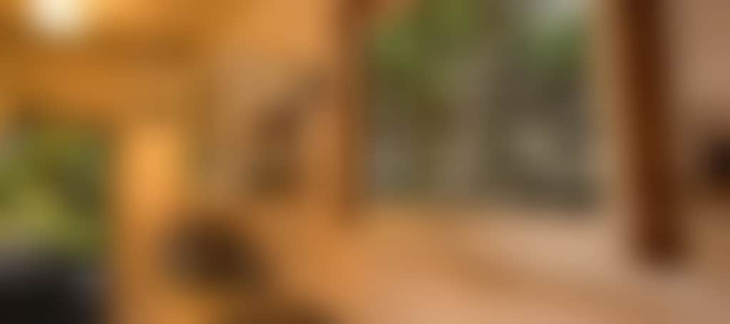 6B0D4D4Df04B2C5D2B55Ea1F62D6D51C