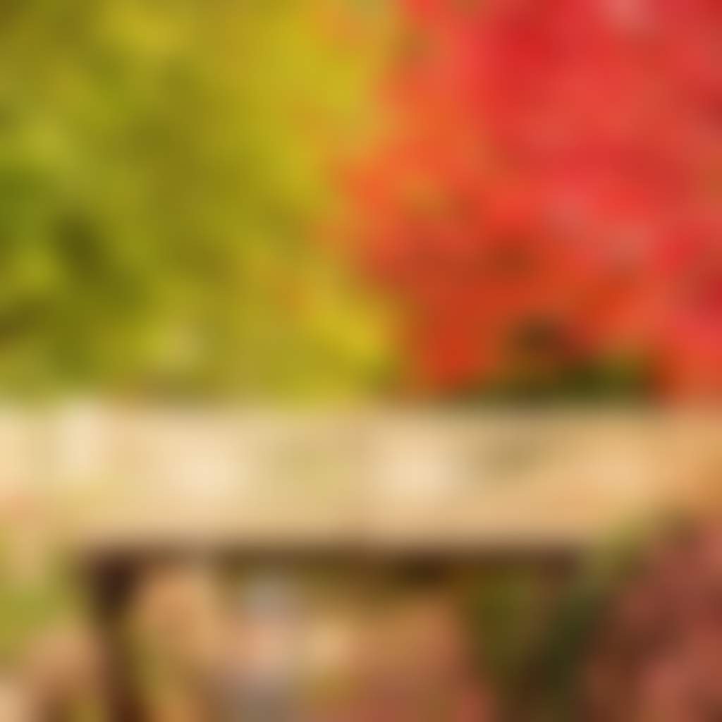 Walhalla red leaves over bridge over creek