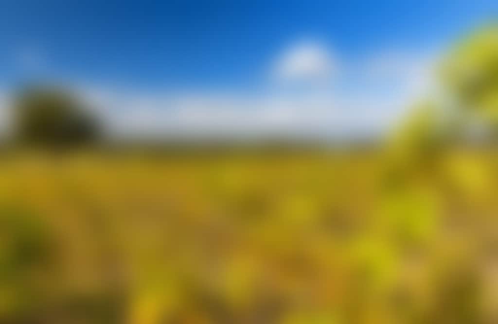 Maffra Winery