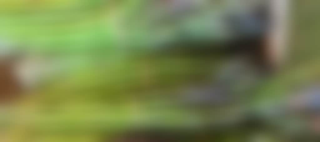 Generic produce image asparagus
