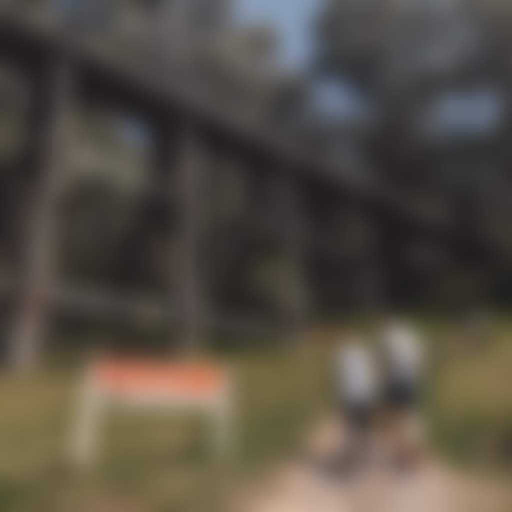 Noojee Trestle Bridge people walking up stairs from bottom