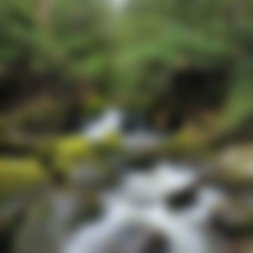Toorongo Falls river cascading over falls by ferns and mossy rockss