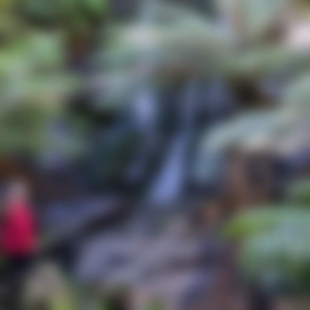 Woman at waterfall in Tarra Bulga National Park