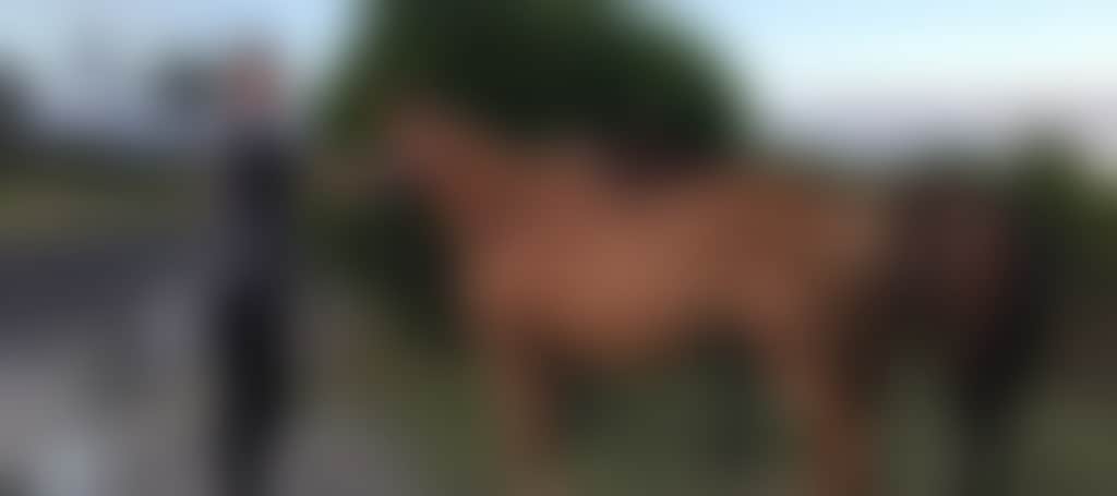 9E275981B51E7C192Aabaff3Fdb06166