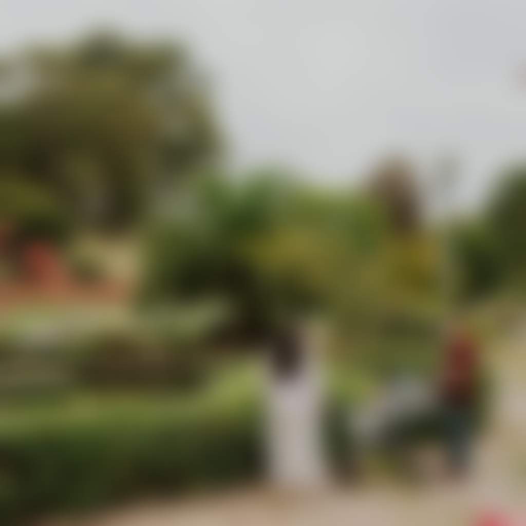 Drouin Civic Park family admiring lake and flowers