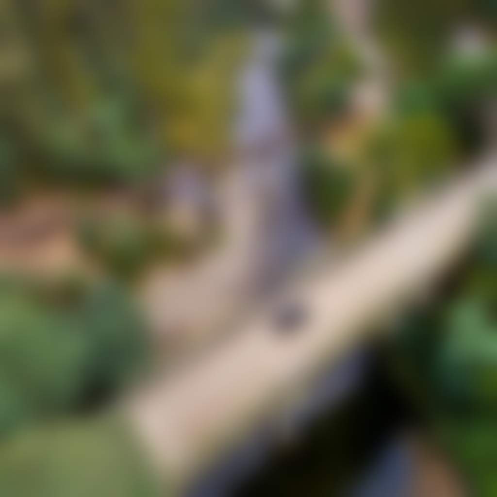 Thomson River car on bridge to Walhalla near swimming hole