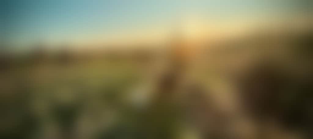 054D8D17Fb28Eec20E75Ca26F6E83237