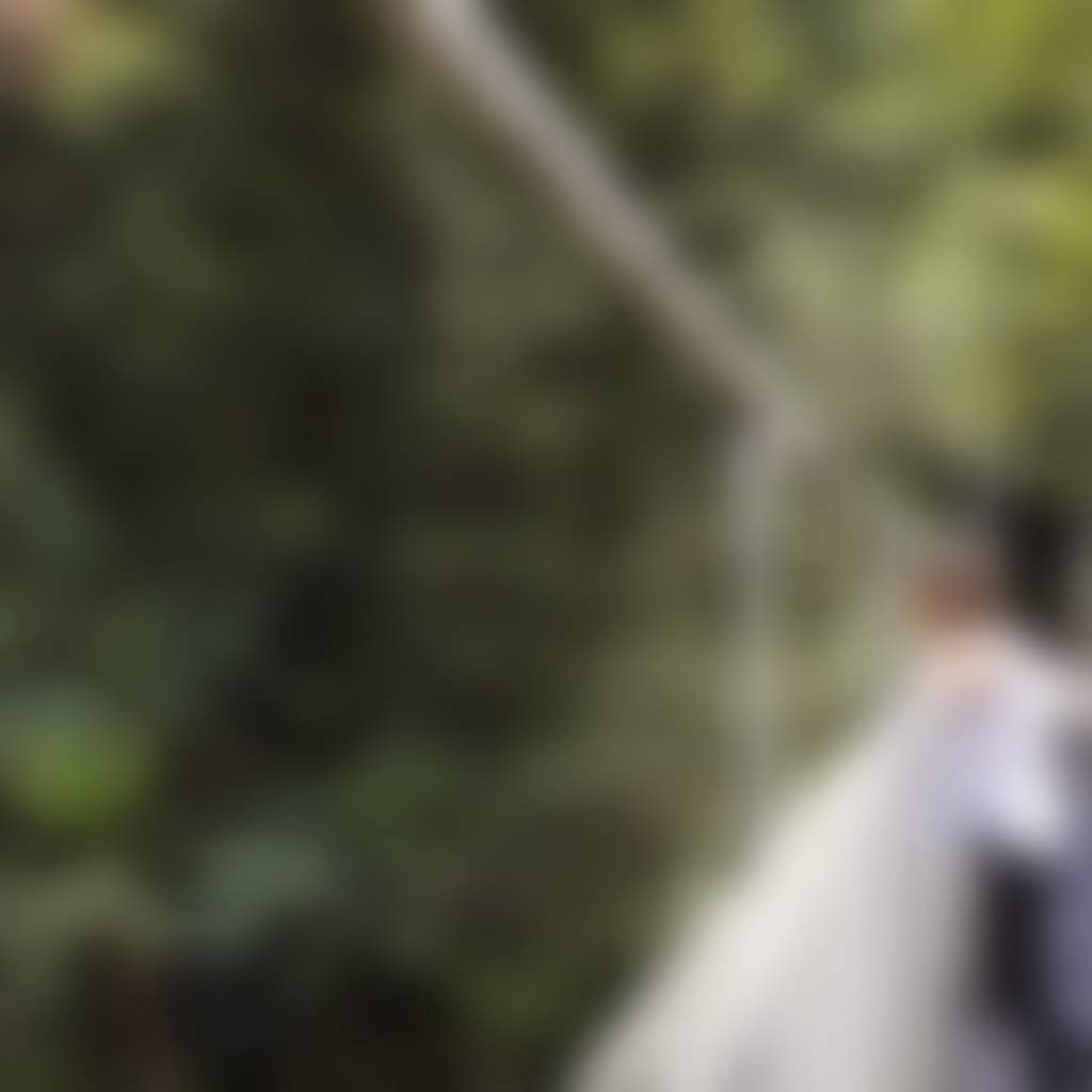 Woman Admiring View from Corrigan Suspension Bridge in Tarra Bulga NP