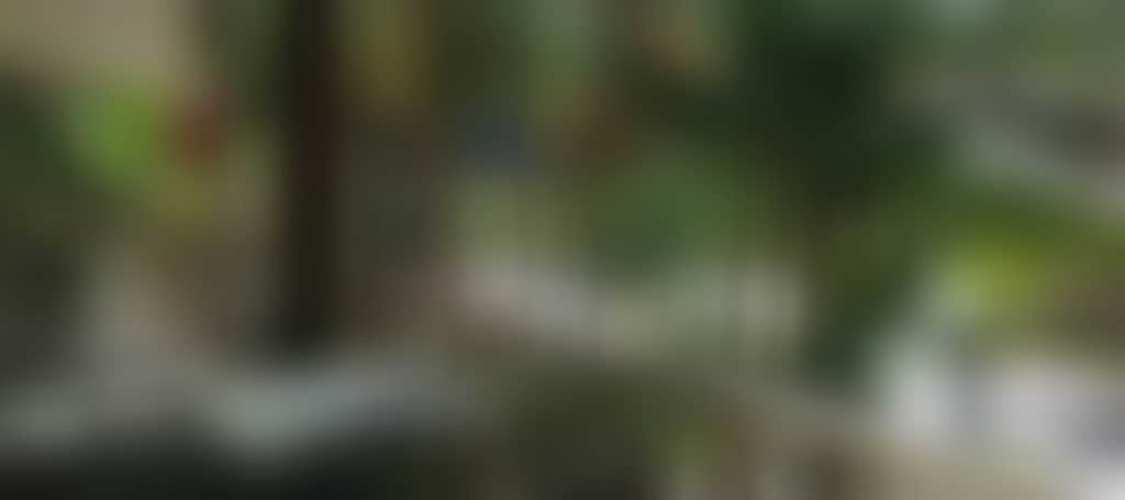 959Adaaebc62B24Bc5D157D8Ccbee1A4