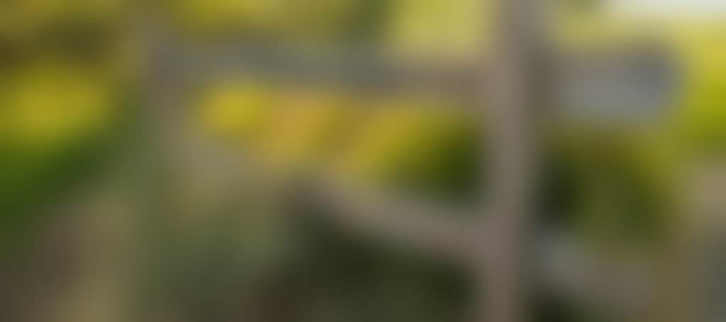 815Ab2086A8D210Fba52C8C0971F08Dc