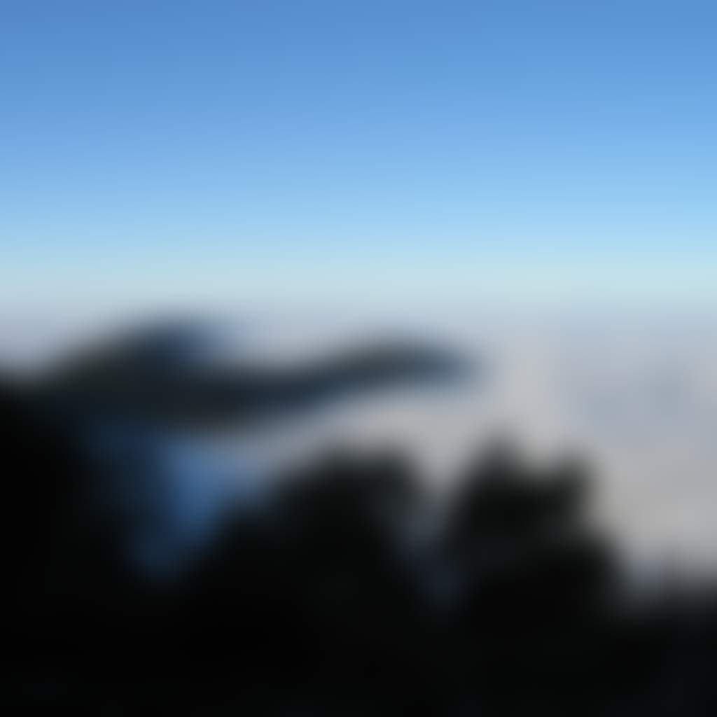 Errinundra National Park in cloud