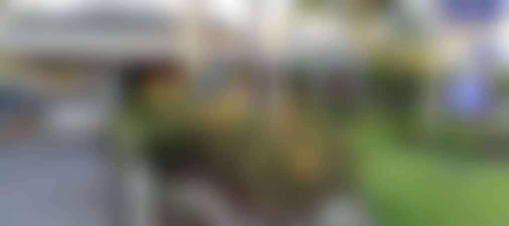 E7Db1B0Fb8952368673171Fb731C6B53