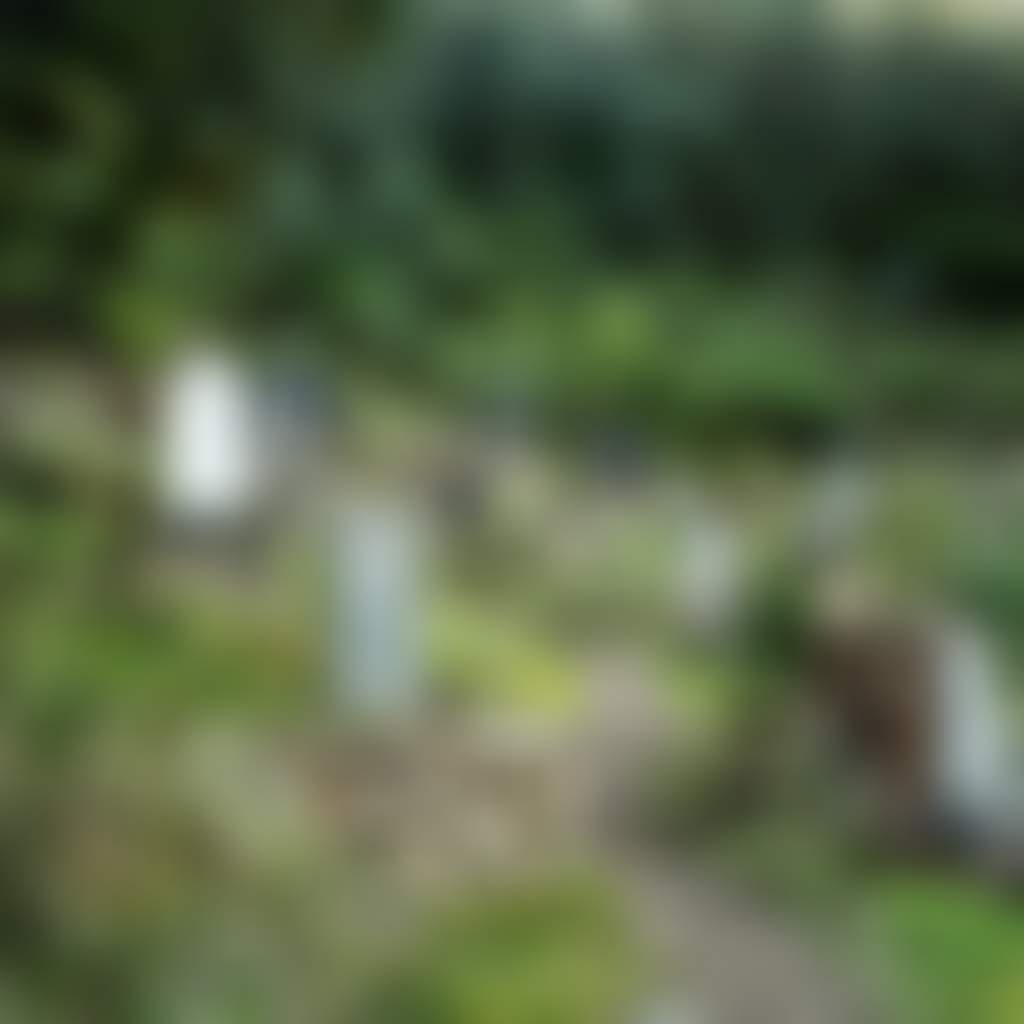 Walhalla Cemetery Walhalla gravestones surrounded by greenery