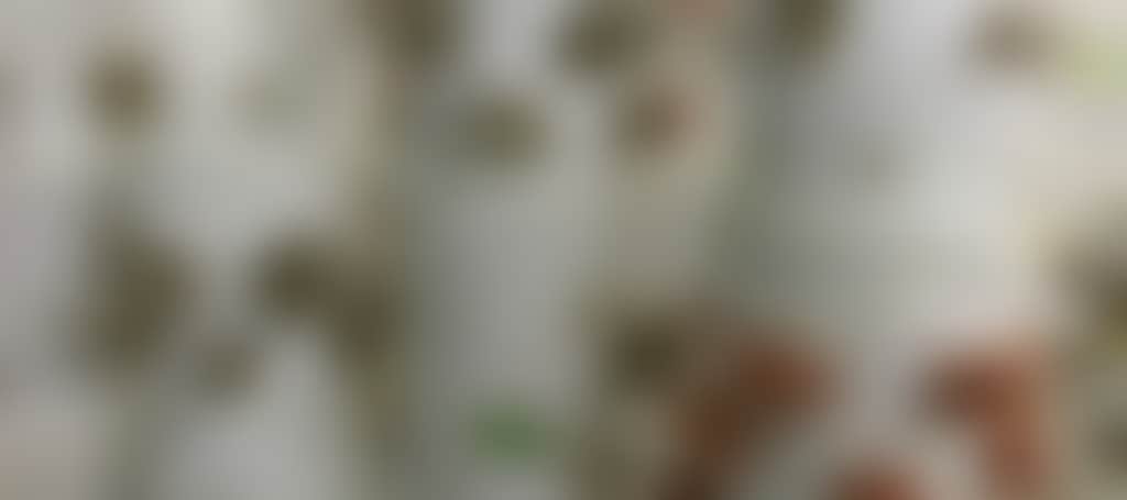 587A45Bf233A354E01D40536C0Df0355