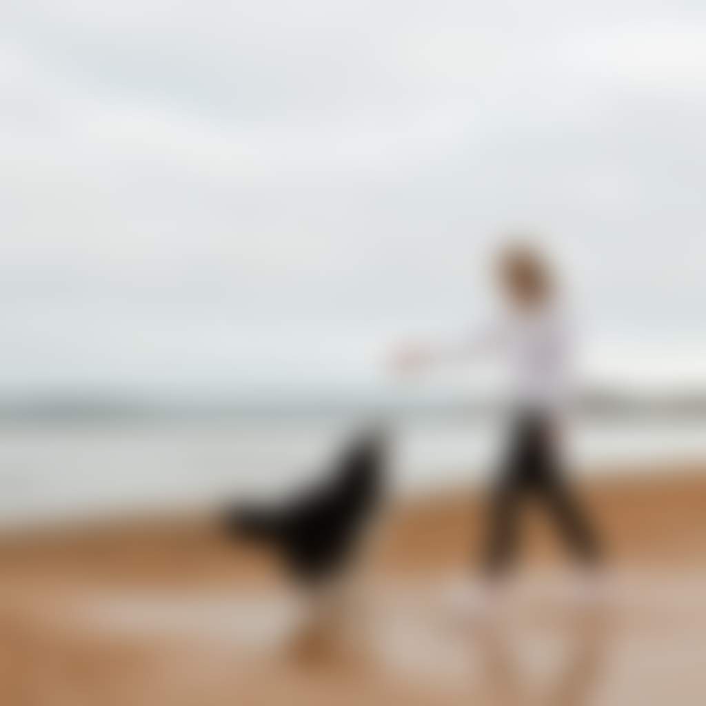 Coronet Bay person playing with dog on beach