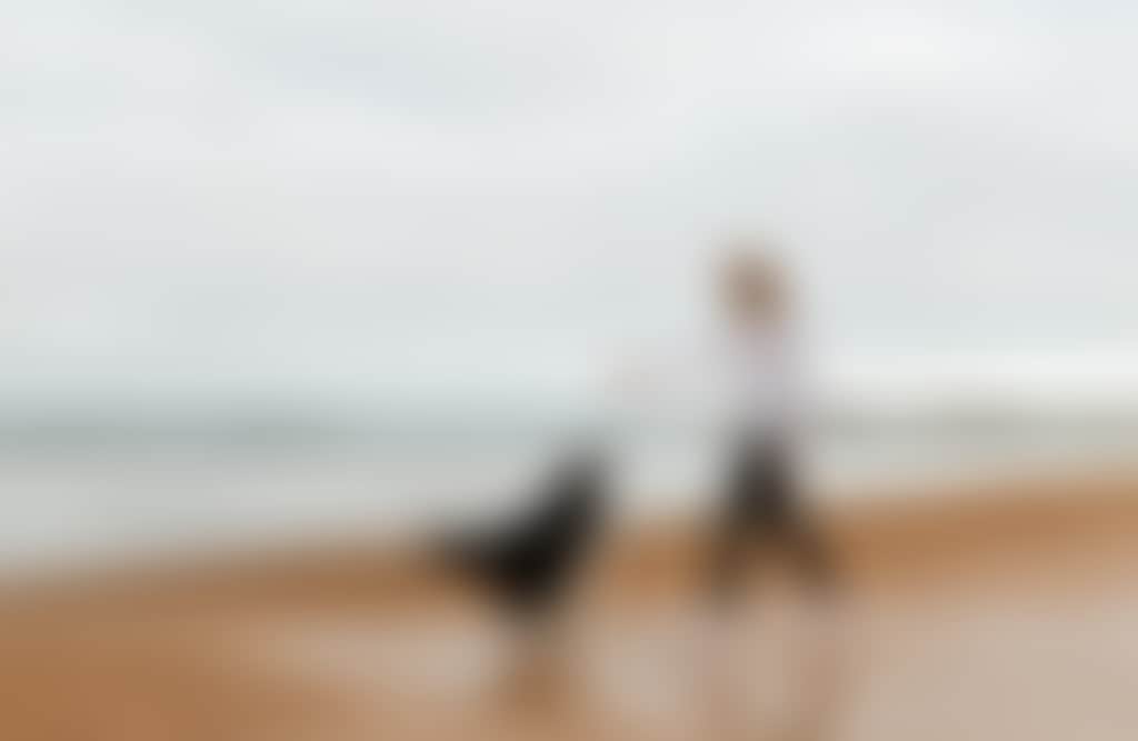 Coronet Bay person playing with dog on beach