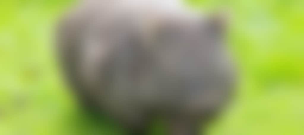 B23Cd2Bb9E7C30E7E6Aa191902Ac6118