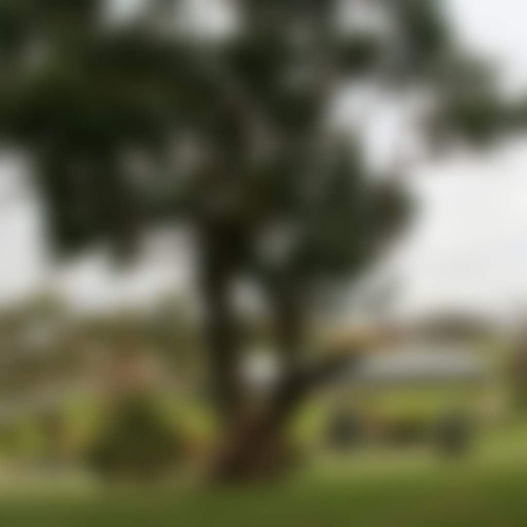 E04877C5Bdc2Fd7112Ee84B30B972Dda