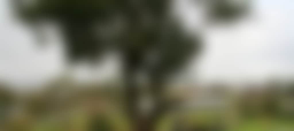 E04877C5Bdc2Fd7112Ee84B30B972Dda