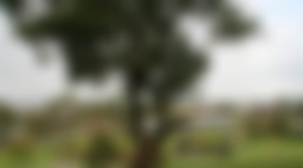 E04877C5Bdc2Fd7112Ee84B30B972Dda