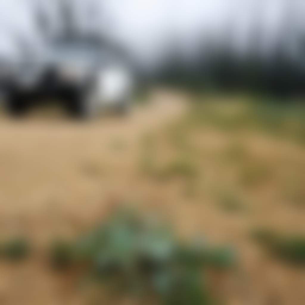 4 WD Car on track with trees in background Dargo Licola area