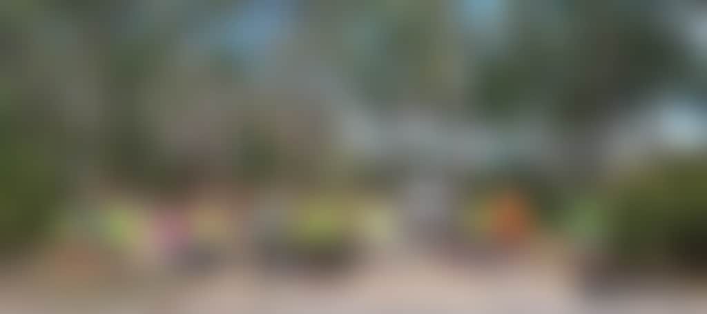 19B48E1E383Be6Fb13D84613421D6Fca
