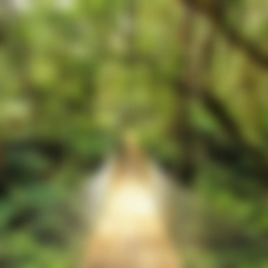 Mc Kenzie River Rainforest Walk bridge in forest