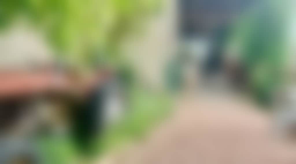 274325B451B453360B1C87Cdaec6E50F