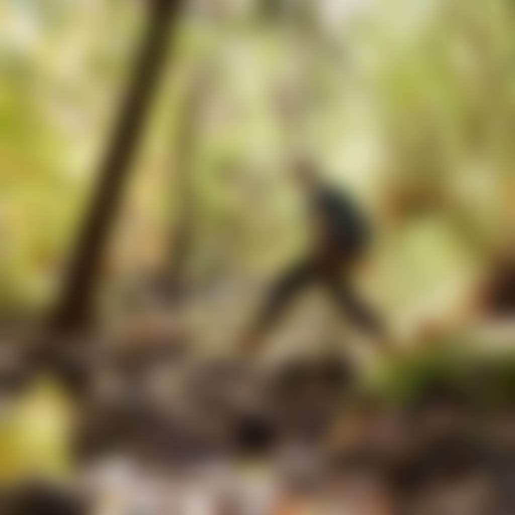 Buchan Caves Reserve person walking over river in bush
