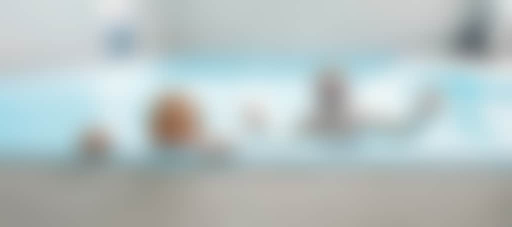 48C9A87462D37D8D8Ed1E09D4B2C499D