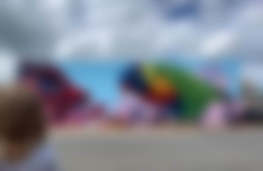 Drouin street art child looking at mural with crimson rosella and rainbow lorikeet
