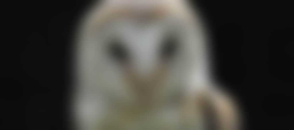 F5498E7Db8E71Fa2A5D0E104C82777Dd