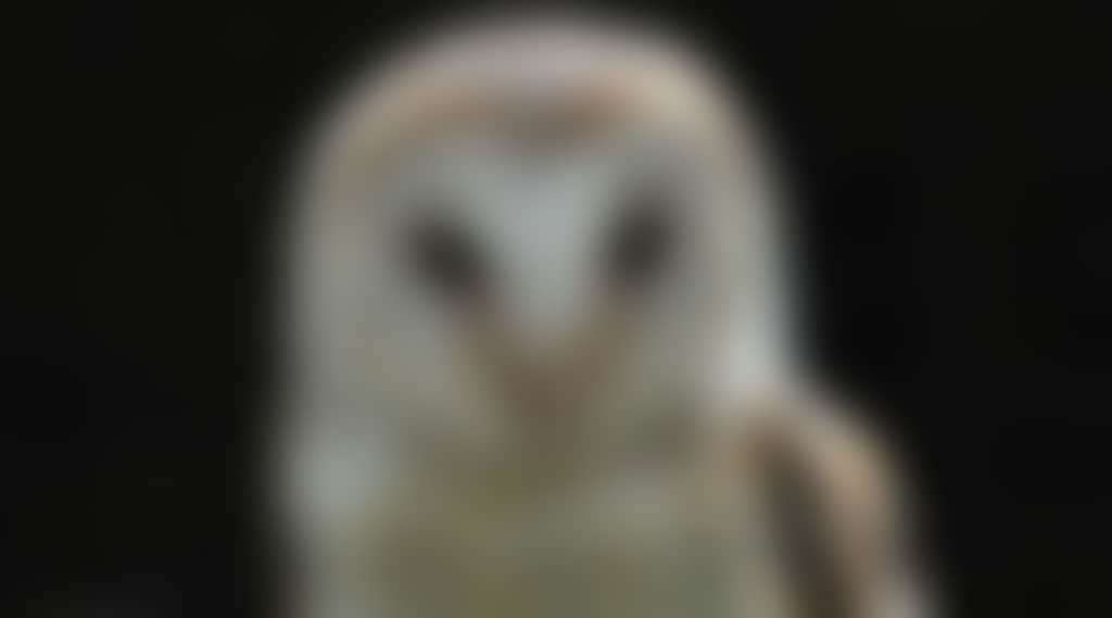 F5498E7Db8E71Fa2A5D0E104C82777Dd