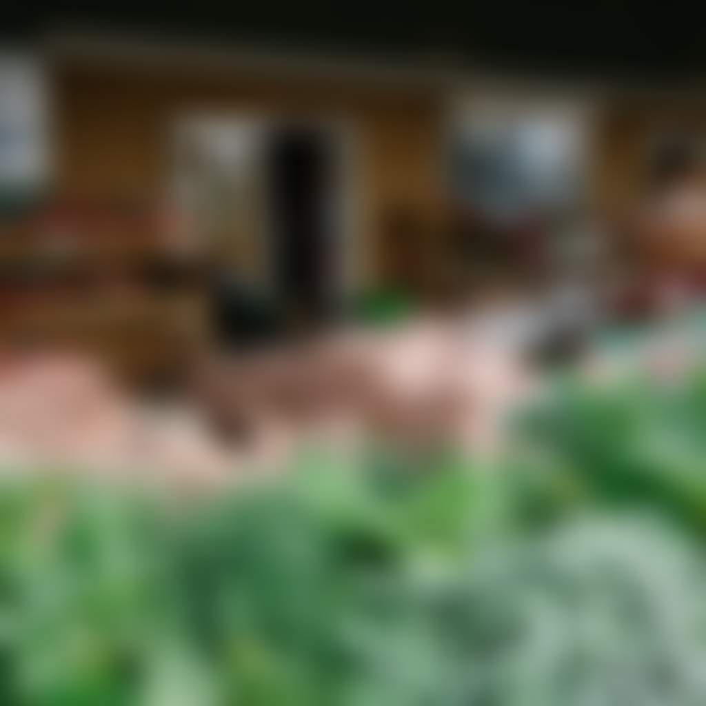 Fresh Produce Outside the Spud Shed in Yarragon