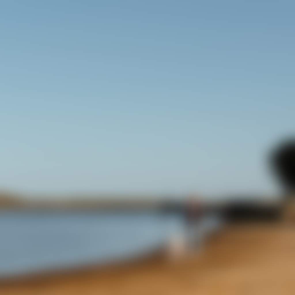Marlo Jetty Marlo person and dog walking along beach