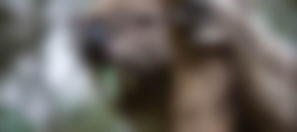 4D64A21Ec9A29Ab0F6D43Aee0Ac8C612