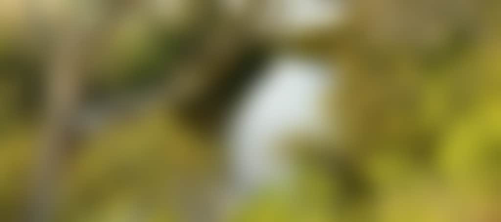 75C63423A187E7Bd984A62552025078A