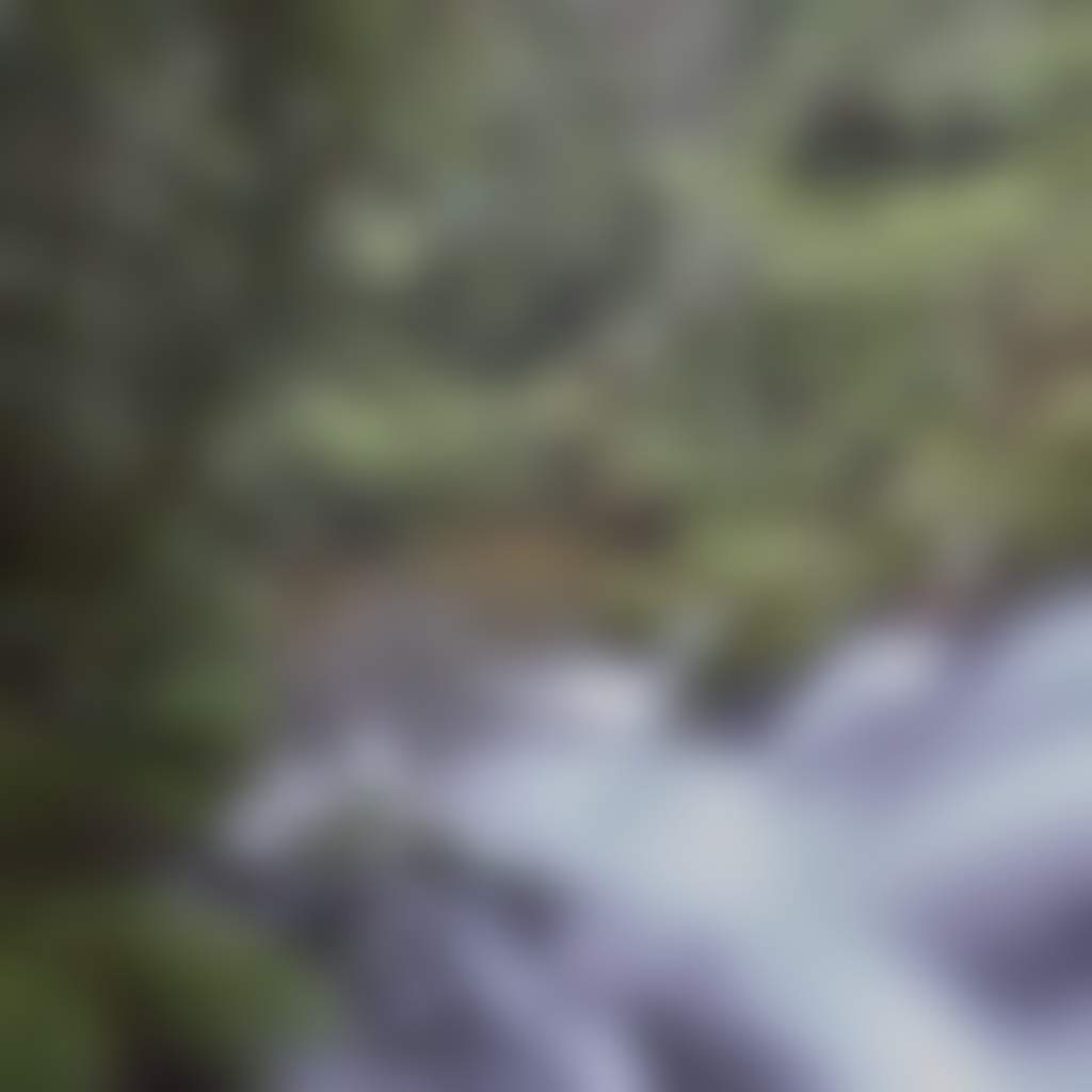 Waterfall in Errinundra National Park