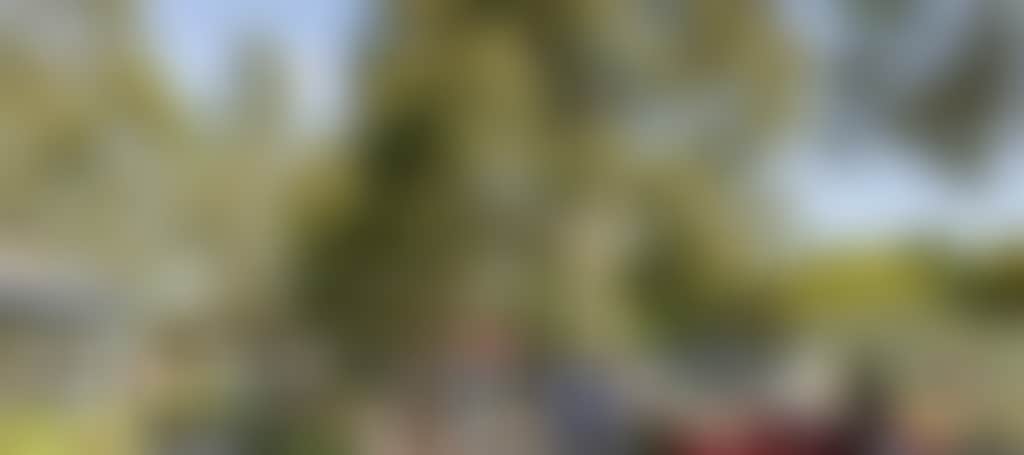 8F8D0Fcae6E47Ffc25De02A97Cfe88B9