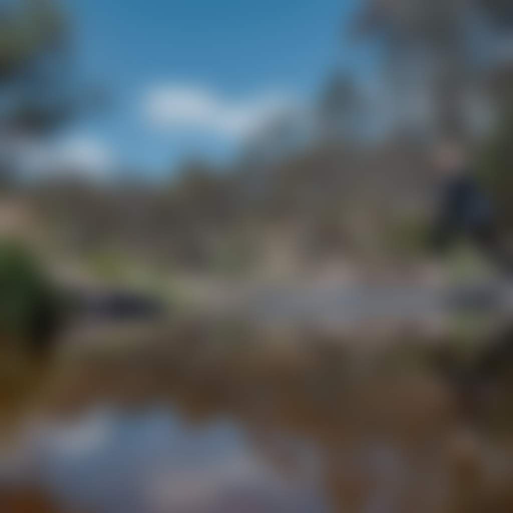 Woman crossing river on a walk at Little River Falls