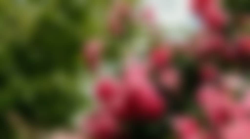 Ca6956Fd135Fe77D40C573E519C6Fceb