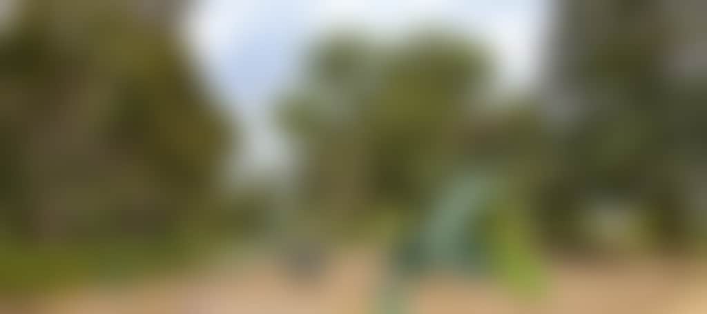 1Ae247Fde664019F0C12E963Be6C2B7B