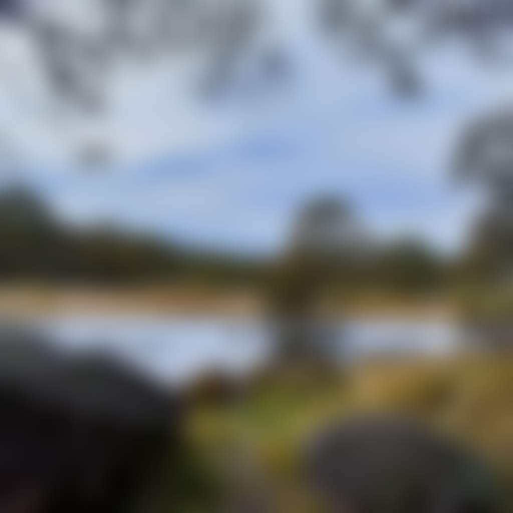 B378E8D71F536E68Bf385D44D891866E